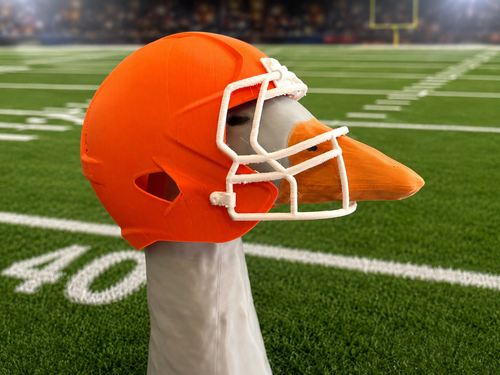 Porch Goose Football Helmet