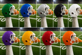 Porch Goose Football Helmet