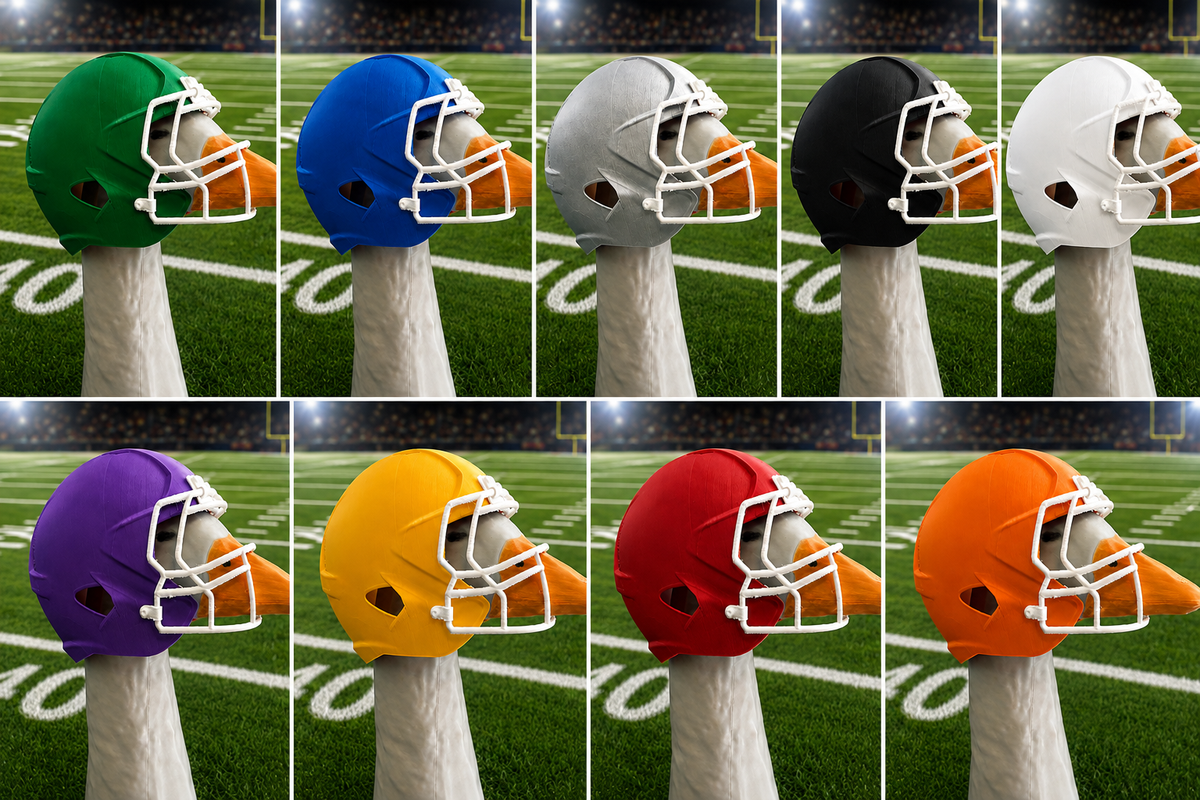 Porch Goose Football Helmet
