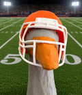 Porch Goose Football Helmet